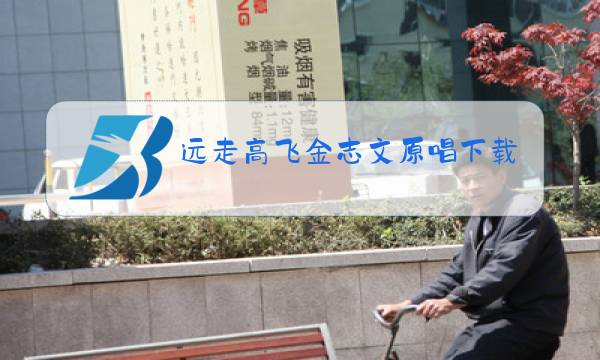 远走高飞金志文原唱下载图片