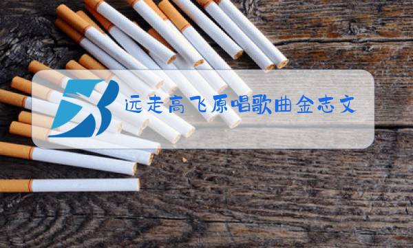 远走高飞原唱歌曲金志文云朵图片