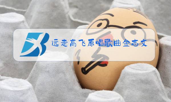 远走高飞原唱歌曲金志文表达什么图片