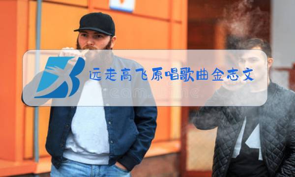 远走高飞原唱歌曲金志文单曲酷我音乐图片