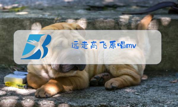 远走高飞原唱mv图片