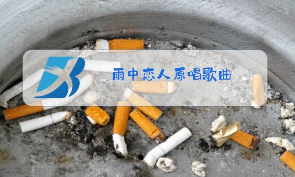 雨中恋人原唱歌曲图片