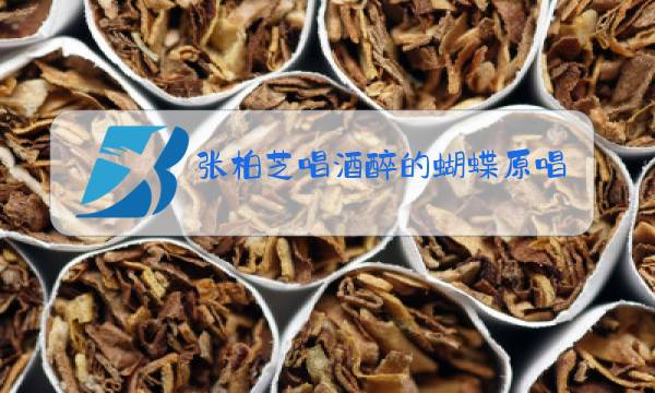 张柏芝唱酒醉的蝴蝶原唱视频图片