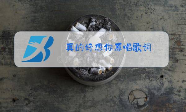 真的好想你原唱歌词图片