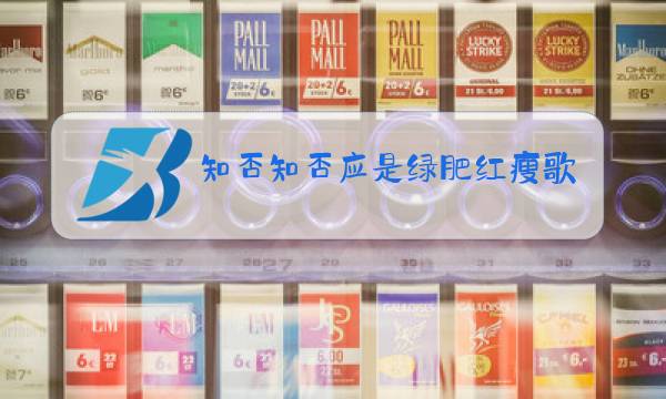 知否知否应是绿肥红瘦歌曲原唱下载图片