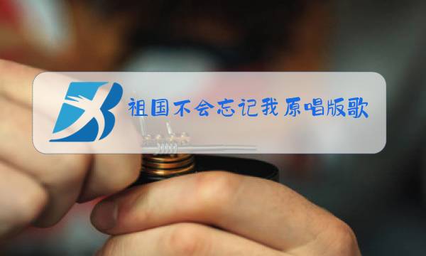 祖国不会忘记我原唱版歌词杨洪基图片