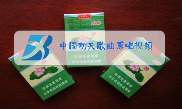 中国功夫歌曲原唱视频图片