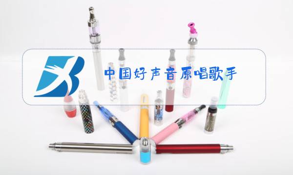 中国好声音原唱歌手图片