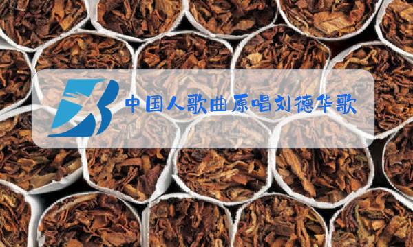 中国人歌曲原唱刘德华歌词图片