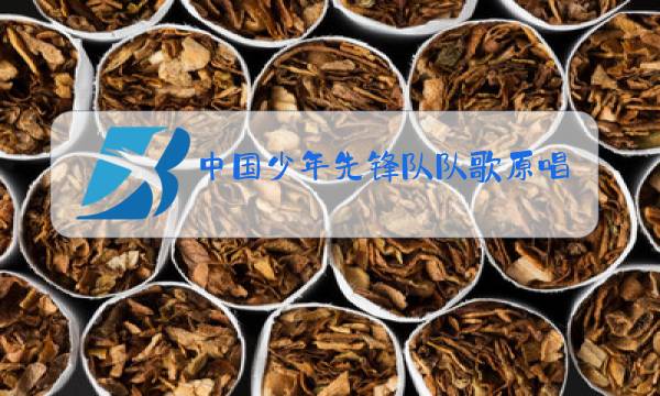 中国少年先锋队队歌原唱 小学图片