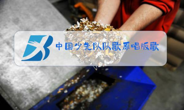 中国少先队队歌原唱版歌词加拼音图片