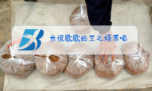 长恨歌歌曲王之炀原唱图片