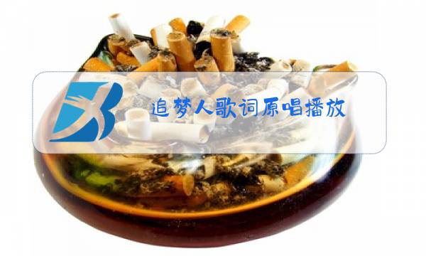 追梦人歌词原唱播放图片