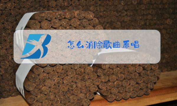怎么消除歌曲原唱图片