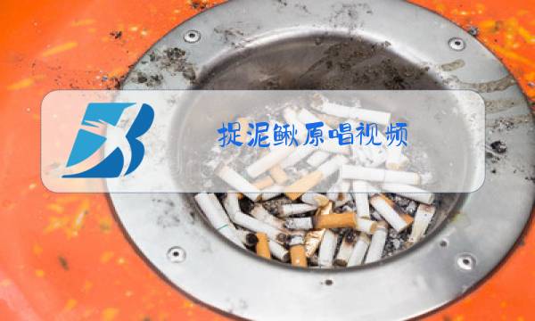 捉泥鳅原唱视频图片
