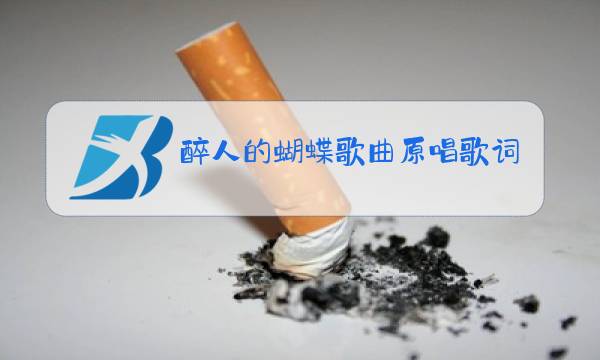 醉人的蝴蝶歌曲原唱歌词图片