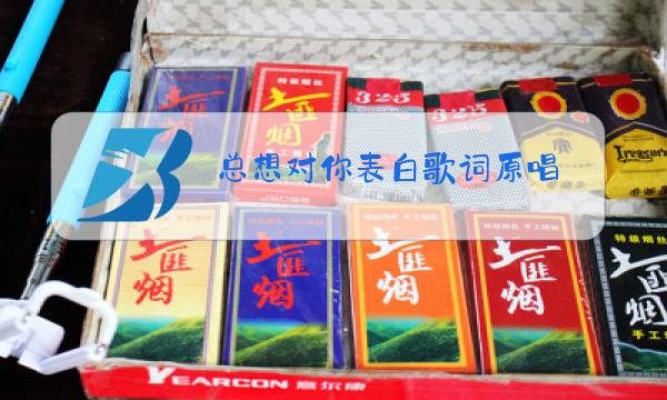 总想对你表白歌词原唱图片