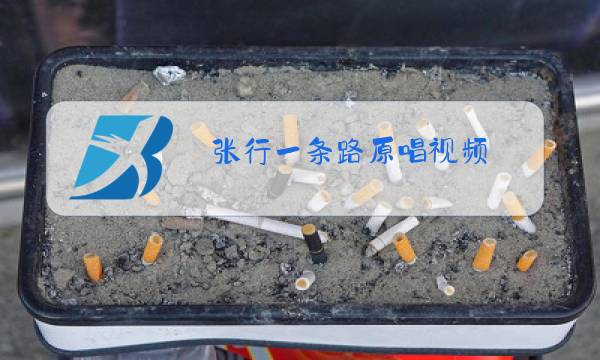张行一条路原唱视频图片