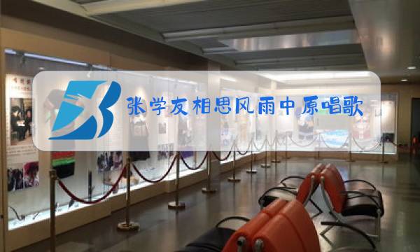 张学友相思风雨中原唱歌词是什么意思图片