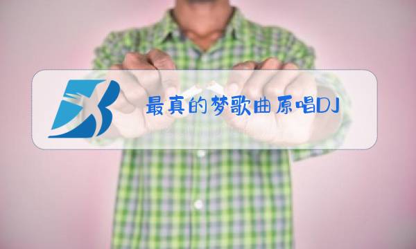 最真的梦歌曲原唱DJ图片
