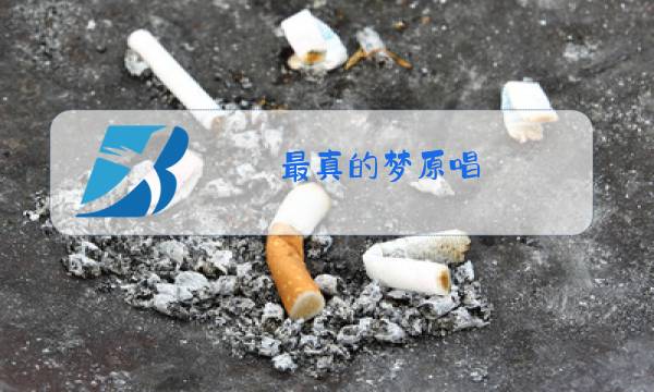 最真的梦原唱图片