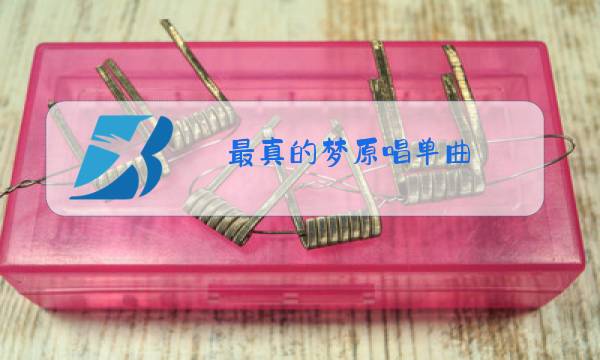 最真的梦原唱单曲图片