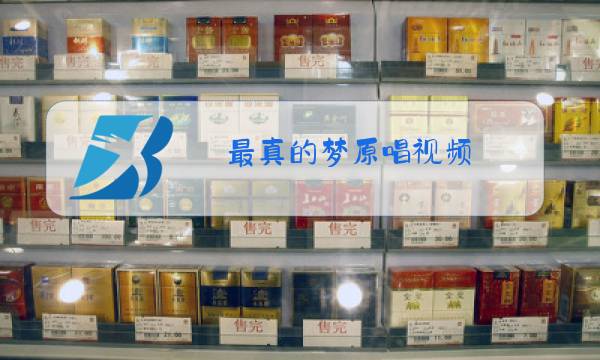 最真的梦原唱视频图片