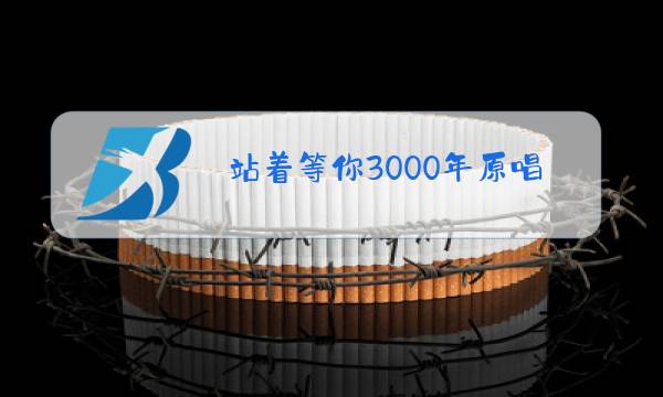 站着等你3000年原唱完整版图片