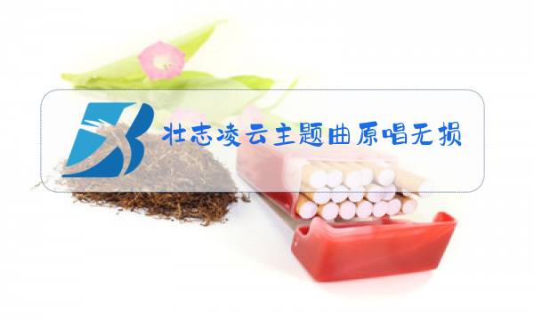 壮志凌云主题曲原唱无损下载图片